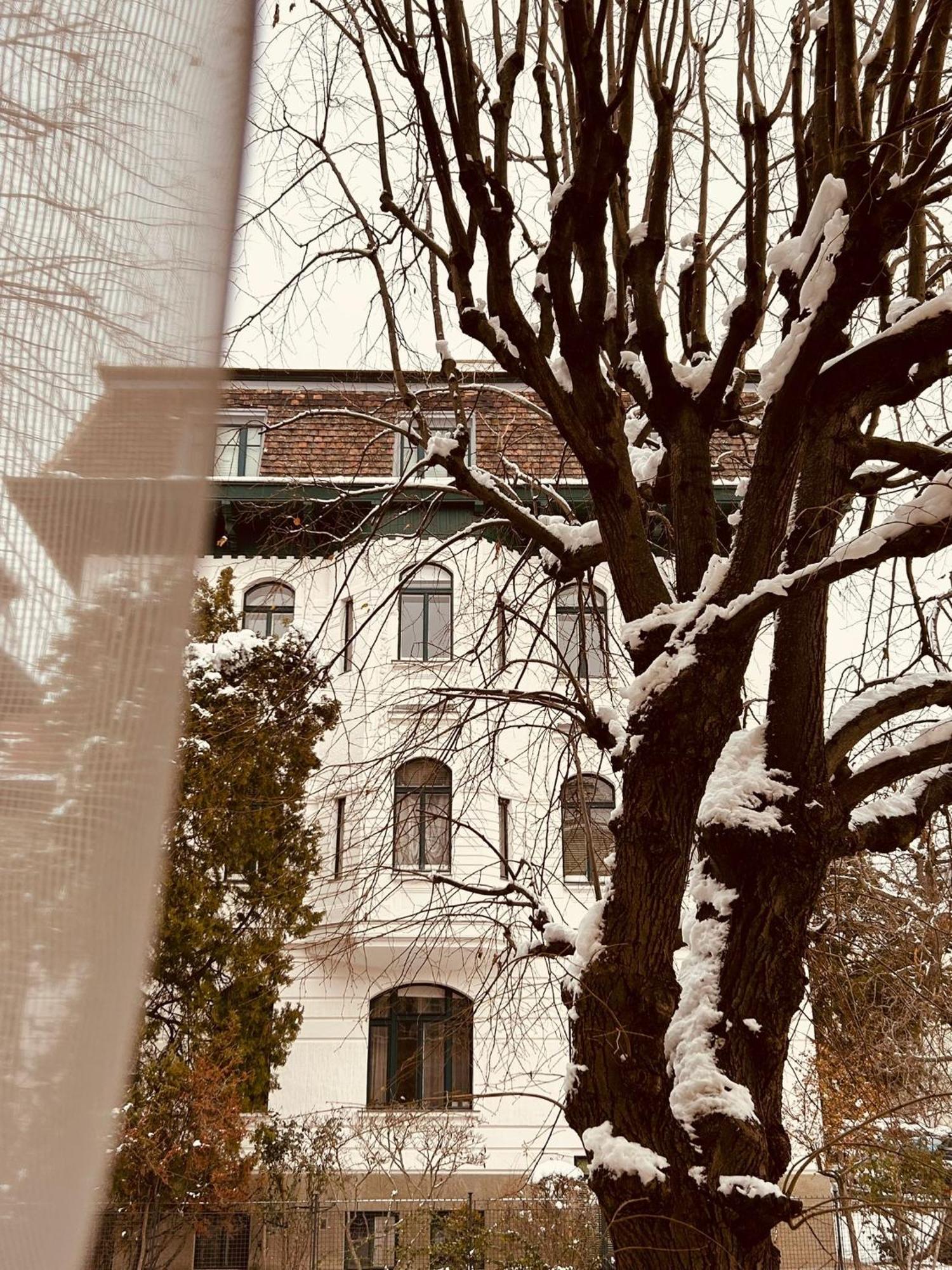 Apartment 5 Min Schoenbrunn Gloriette, Direct To City Center, Free Parking Відень Екстер'єр фото